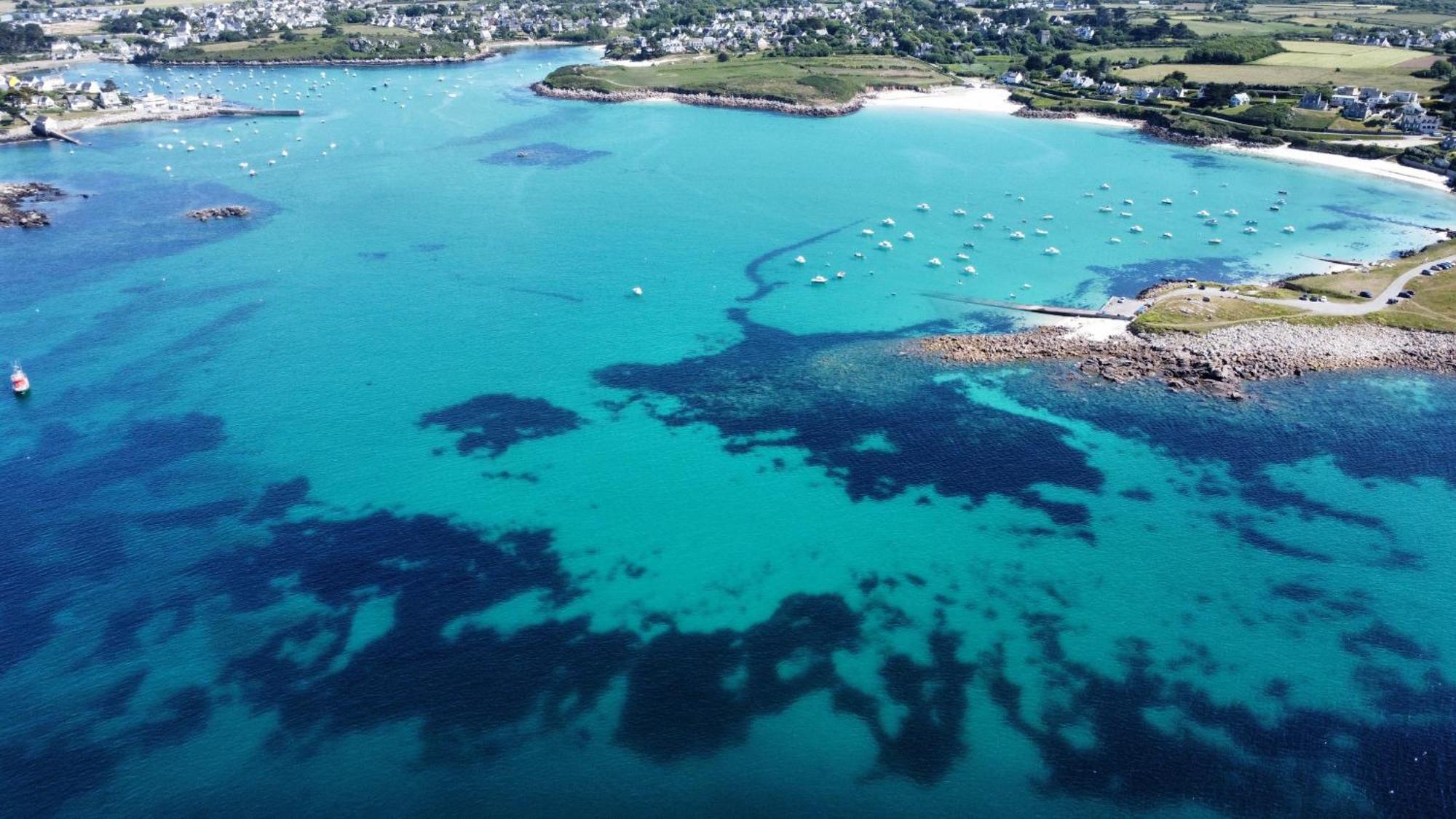 Ty Mor Bras - Maison Familiale A 2 Pas De La Plage Portsall Eksteriør billede